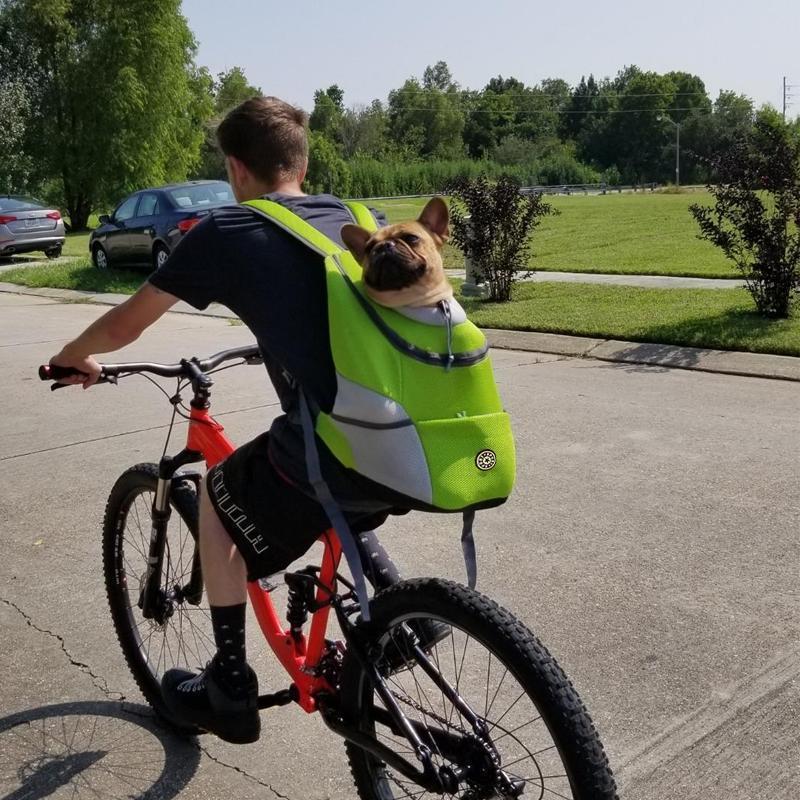 Backpack For Dogs / Cats