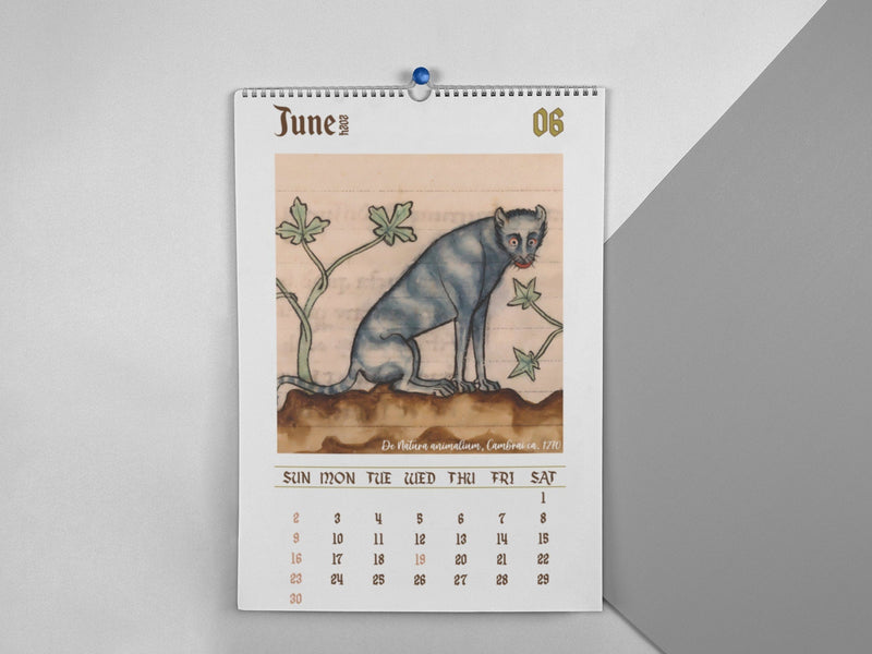 Weird Medieval Cats Calendar 2024