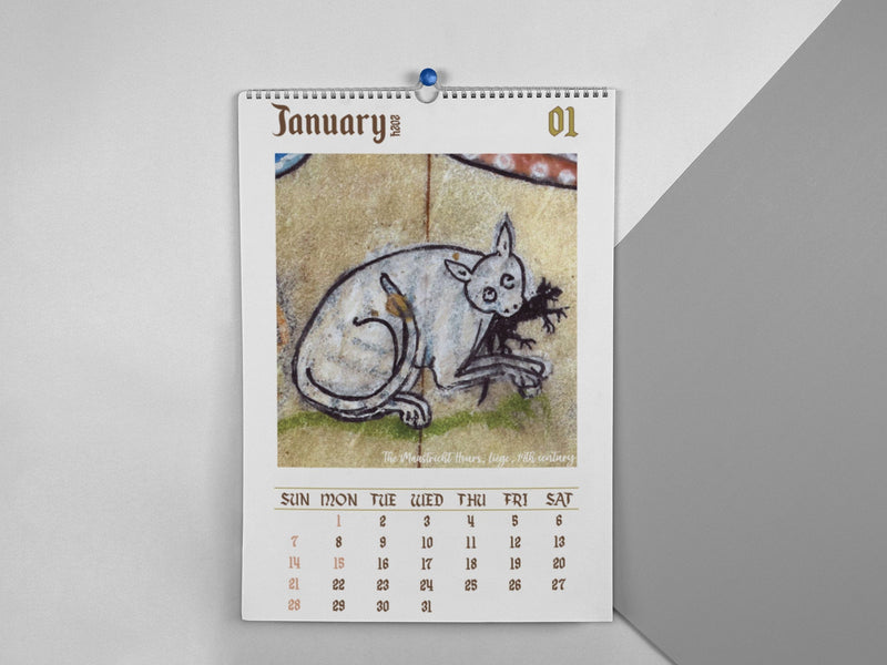 Weird Medieval Cats Calendar 2024