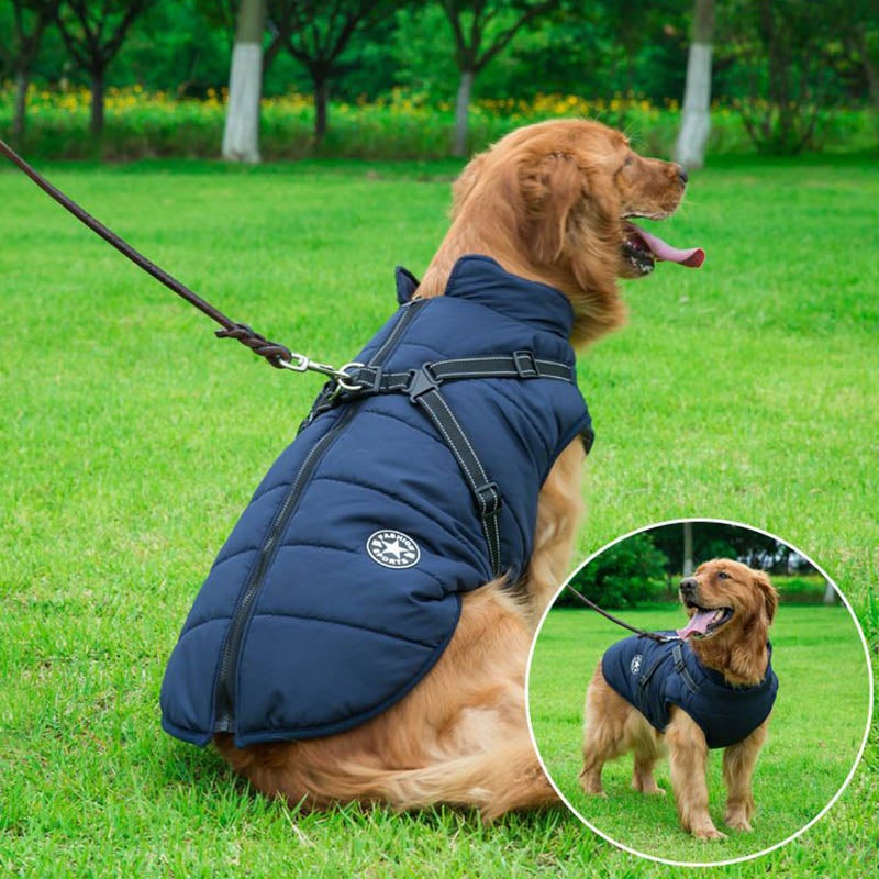 Waterproof Winter Jacket for Dogs