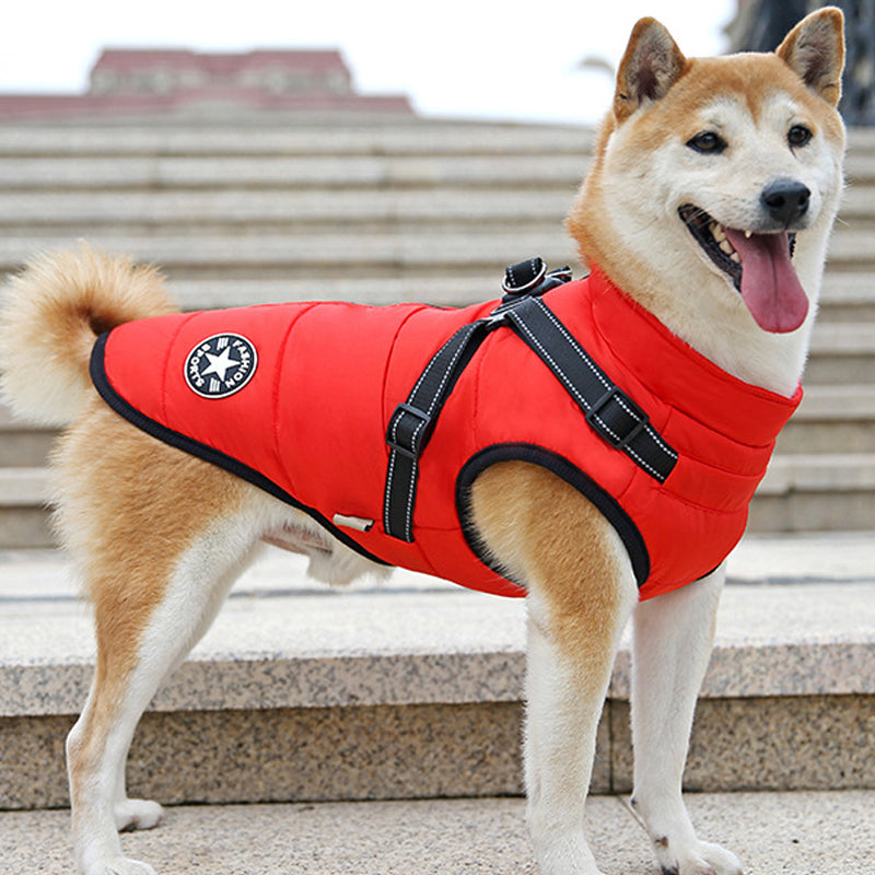 Waterproof Winter Jacket for Dogs