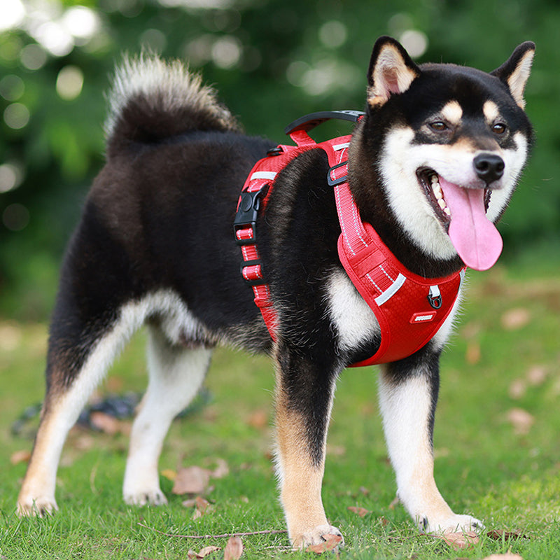 Reflective Dog Chest Strap