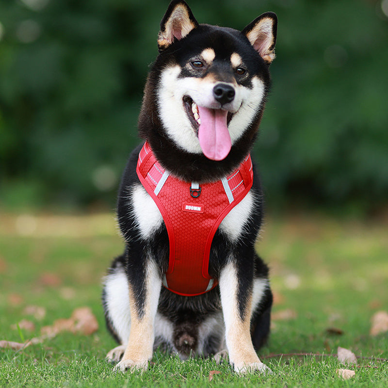 Reflective Dog Chest Strap