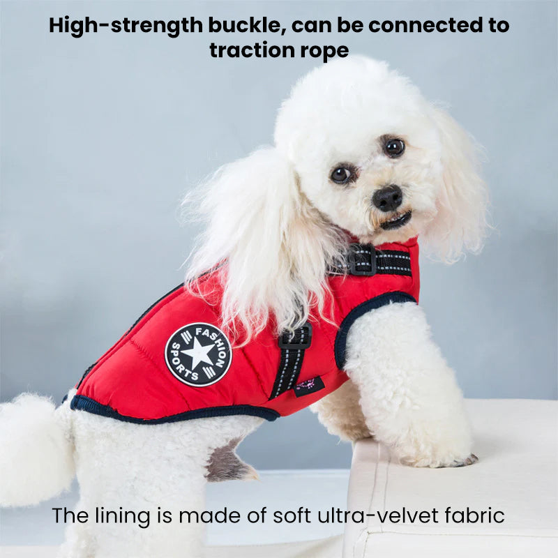 Waterproof Winter Jacket for Dogs