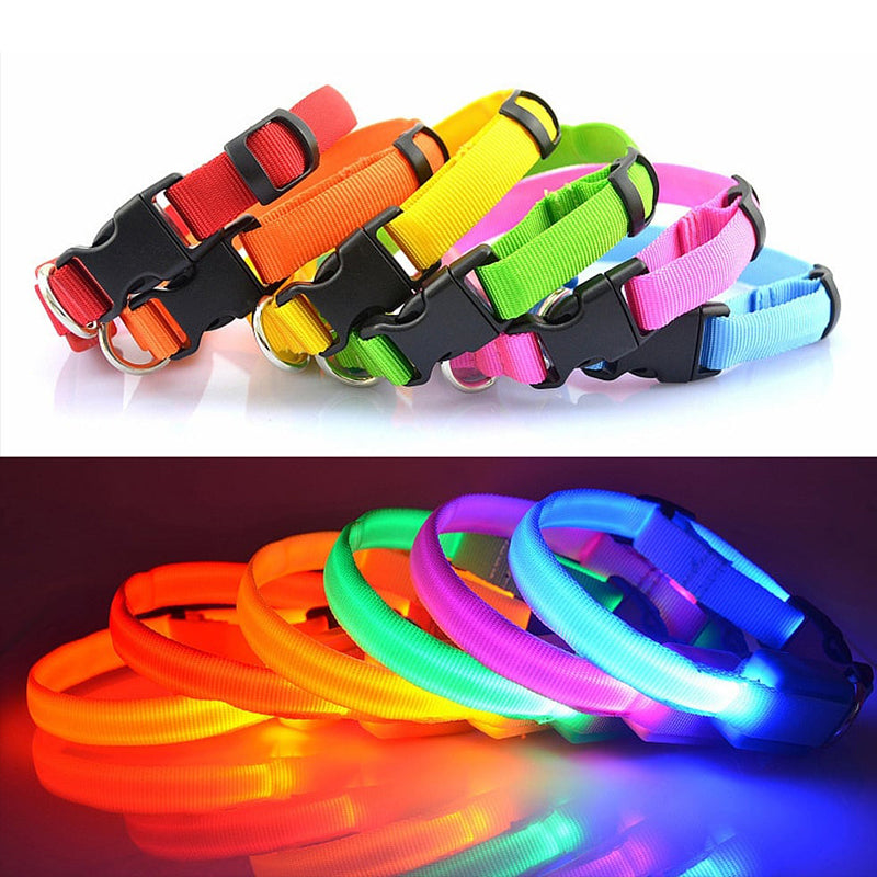 Dog LED Collars