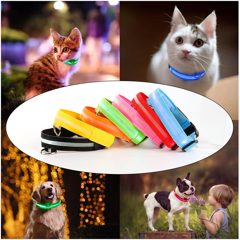 Dog LED Collars