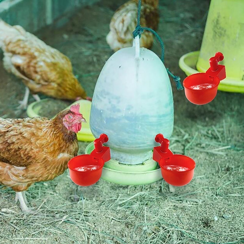 Automatic Poultry Waterer (6 PCS)