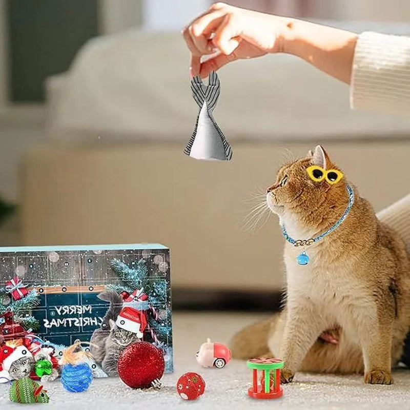 Christmas ountdown cat Calendar