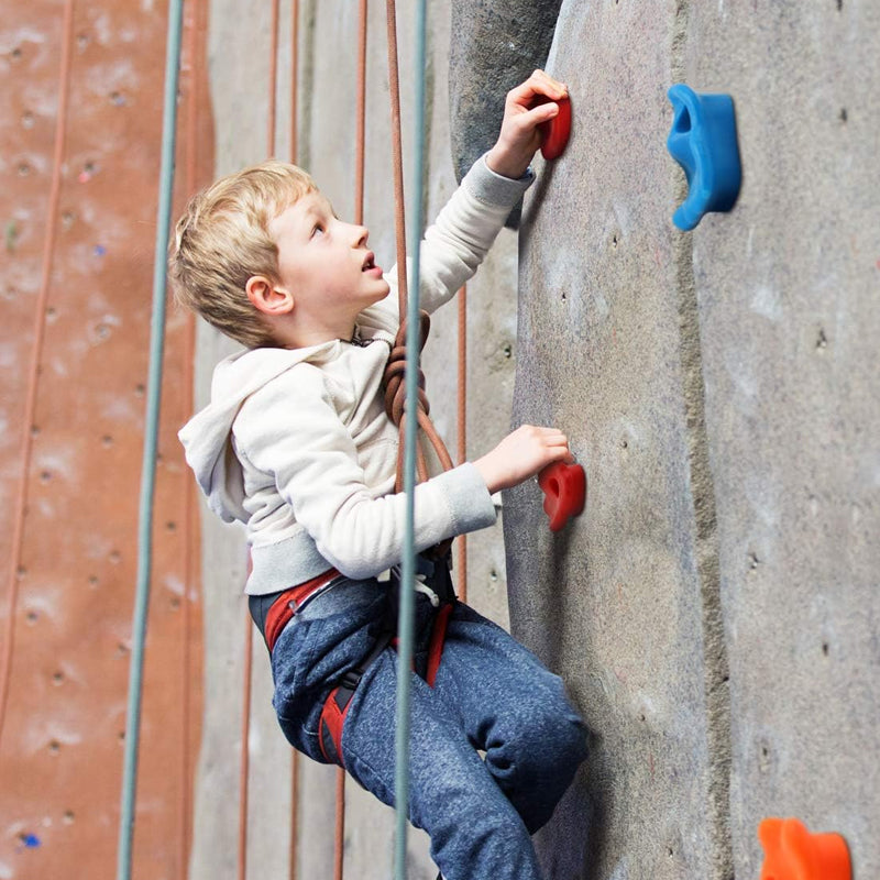 Kids Backyard Rock Climbing Kit