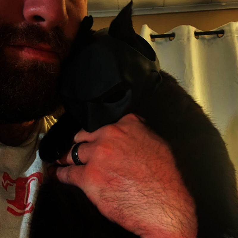 Bat Cat Mask