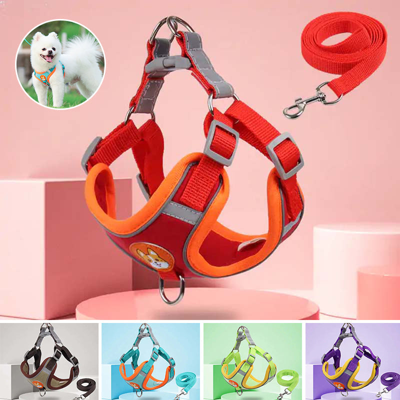 Reflective Pet Harness And Leash Set