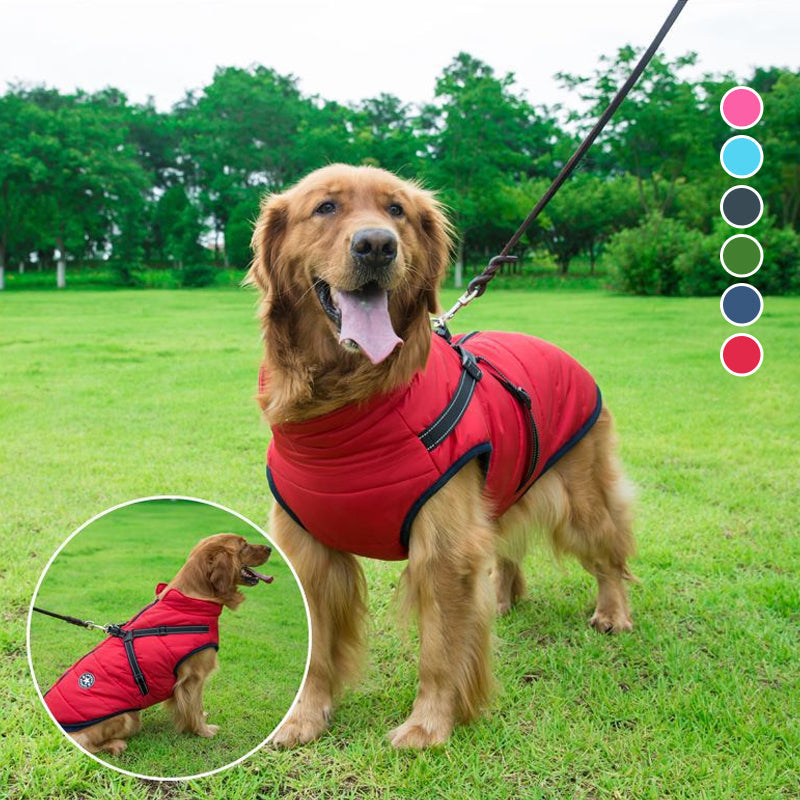 Waterproof Winter Jacket for Dogs