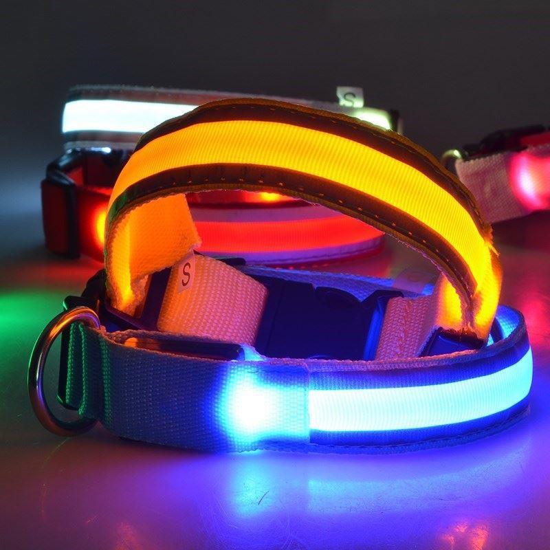 Dog LED Collars