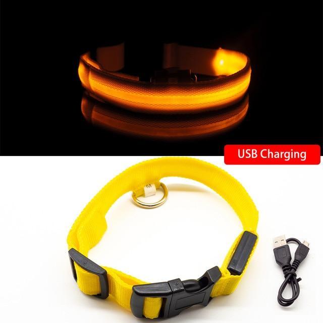 Dog LED Collars