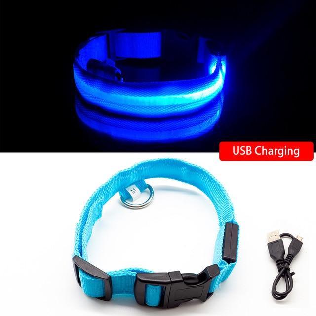 Dog LED Collars