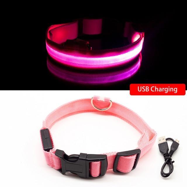 Dog LED Collars