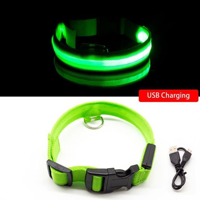 Dog LED Collars