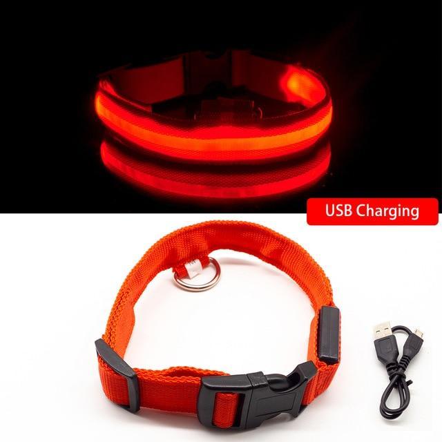 Dog LED Collars